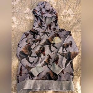 Jurassic World boys hoodie